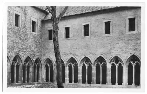 AK, Erfurt, ehemaliges Augustinerkloster, Kreuzgang, 1955