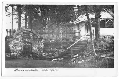 AK, Masserberg Thür. Wald, Werra-Quelle, 1954