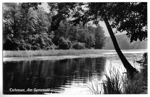 AK, Tiefensee Kr. Bad Freienwalde, Am Gamensee, Version 1, 1962