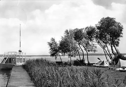 AK, Plau Meckl., Bootssteg am Seglerheim, 1963