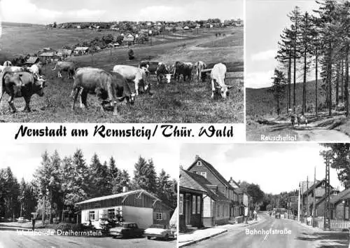 AK, Neustadt am Rennsteig, vier Abb., 1981