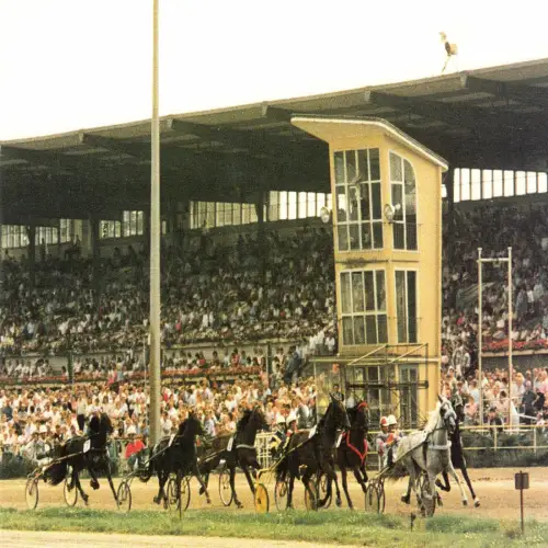 AK, Berlin Karlshorst, Tribühne der Trabrennbahn, belebt, um 2000