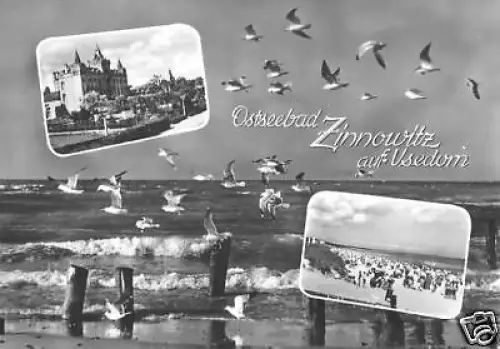 AK, Ostseebad Zinnowitz Usedom, drei Abb., gestaltet
