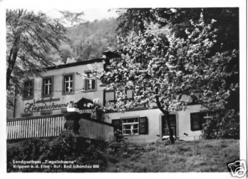 AK, Krippen a.d. Elbe, Landgasthaus "Ziegelscheune"