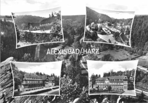 AK, Alexisbad Harz, fünf Abb., gestaltet, 1965