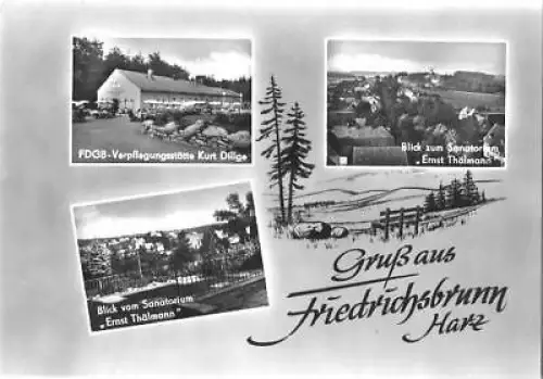 AK, Friedrichsbrunn Harz, 3 Abb., Teilansichten, 1965