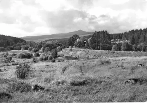 AK, Mandelholz Harz, Kr. Wernigerode, Totale, 1980