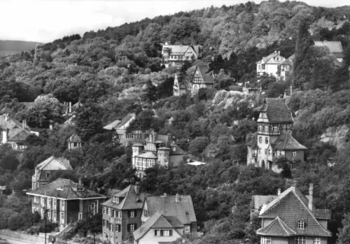 AK, Bad Frankenhausen Kyffh., Blick zum Weinberg, 1979