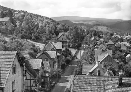 AK, Wernigerode Harz, Am Kapitelsberg, Straßenpartie, 1968