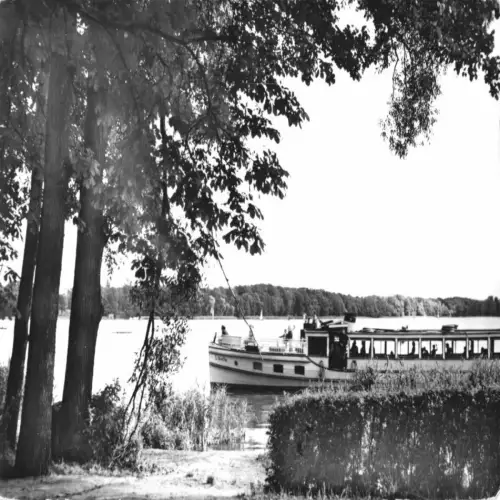 AK, Bad Saarow - Pieskow, Dampfer MS "Libelle", 1967