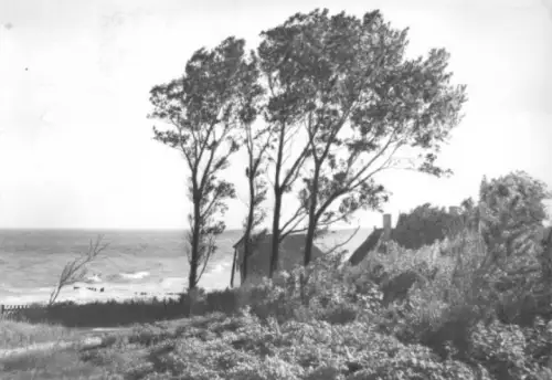 AK, Ostseebad Ahrenshoop, Küstenpartie, 1973