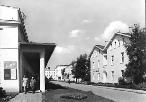 AK, Ostseebad Heiligendamm, Prof.-Vogel-Str., 1972