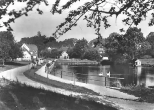 AK, Schönbach Kr. Löbau, Teilansicht, 1970