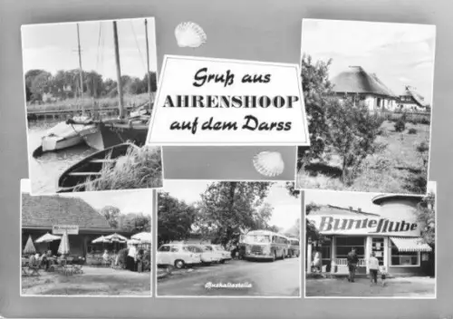 AK, Ostseebad Ahrenshoop Darss, fünf Abb., 1964