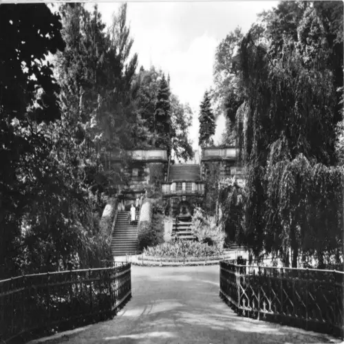 AK, Riesa, Freitreppe im Stadtpark, 1961