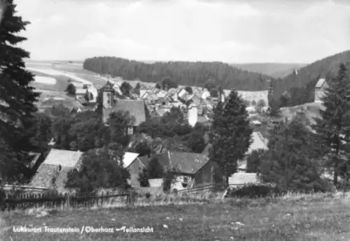 AK, Trautenstein Oberharz, Teilansicht mit Kirche, 1967