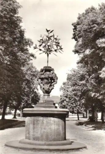 AK, Oranienbaum, Markt, Vers. 2, 1978