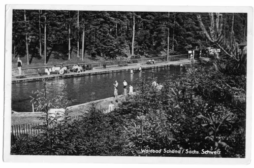 AK, Schöna Sächs. Schweiz, Waldbad, belebt, 1951