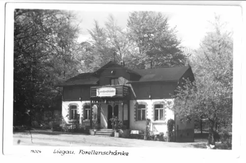 AK, Liegau, Forellenschänke, 1956