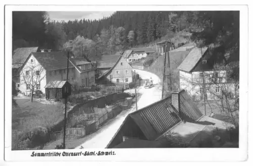AK, Ottendorf Sächs. Schweiz, Straßenpartie, Echtfoto, 1954