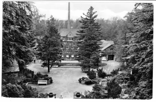 AK, Bad Lausick, Parkanlagen mit Kurmittelhaus, 1958