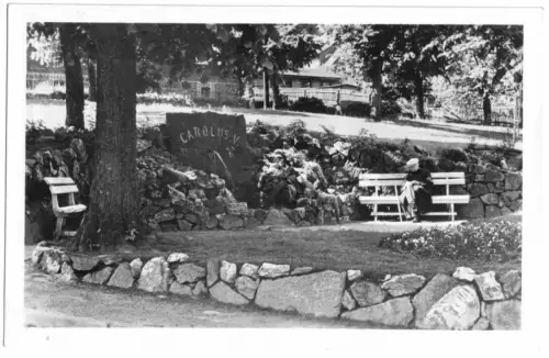 AK, Brotterode Thür. Wald, Parkanlage, 1954