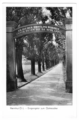 AK, Herrnhut Oberlausitz, Eingang zum Gottesacker, 1956