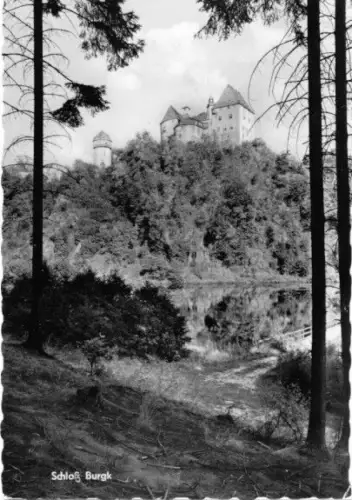 AK, Burgk, Blick zum Schloß Burgk, 1964