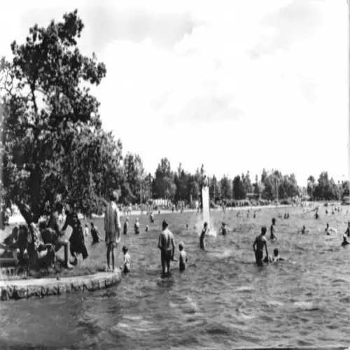 AK, Schneeberg Erzgeb., Strandbad Filzteich, belebt