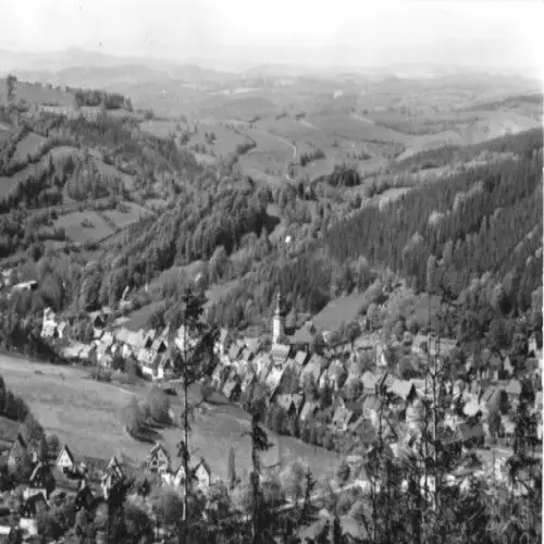 AK, Geising Erzgeb., Teilansicht, 1981
