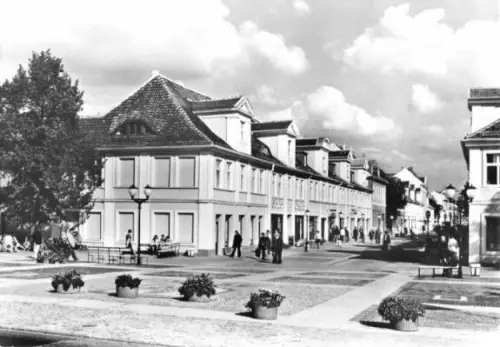 AK, Potsdam, Blick in die Kl.-Gottwald-Str., 1981