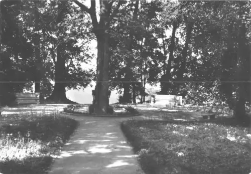 AK, Mirow, Auf der Liebesinsel, 1981