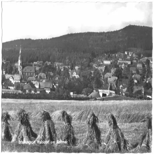 AK, Walddorf am Kottmar, Gesamtansicht, Hocken, 1966