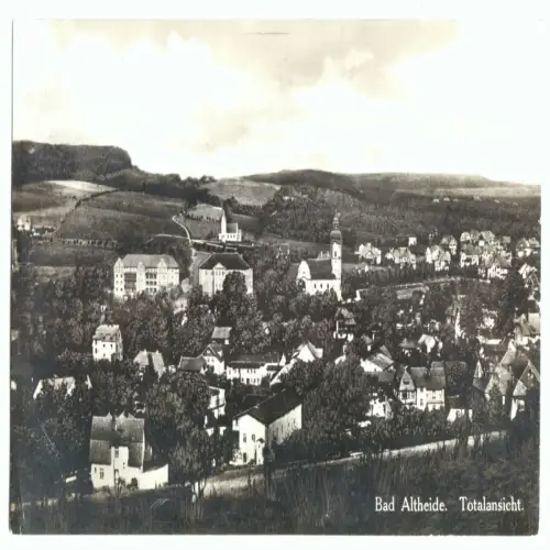 AK, Bad Altheide, Polanica-Zdrój, Gesamtansicht, 1933