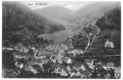 AK, Bad Teinach, Teilansicht, 1917