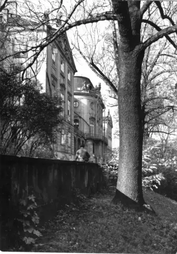 AK, Warszawa, Warschau, Zamek Królewski, Königsschloß, 1971