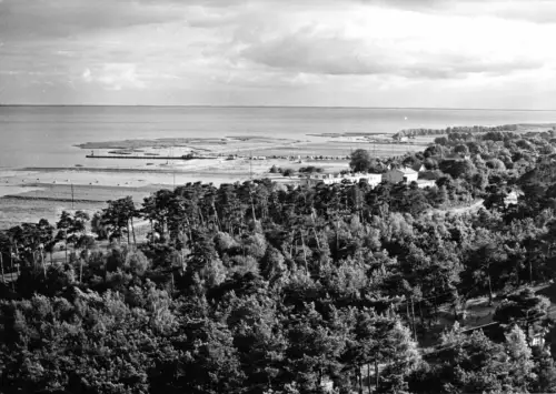 AK, Krynica Morska, Kahlberg, Widok na Zalew Wislany, Blick auf die Weichsel