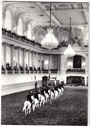 AK, Wien, Hofburg, Spanische Reitschule, Einreiten zur Schulquadrille, um 1966