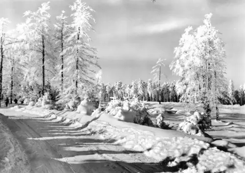 AK, Friedrichroda Thür. Wald, Winteransicht am Spießberg, 1969