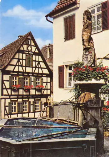 AK, Marbach am Neckar, Wilder-Mann-Brunnen, um 1985