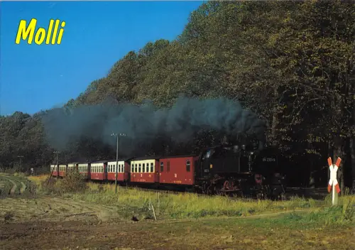 AK, Bad Doberan, Personenzug "Molli" auf dem Weg nach Bad Doberan, um 1995