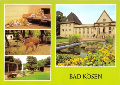 AK, Bad Kösen, vier Abb., 1981