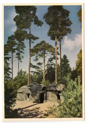 AK, Fallingbostel, Lüneburger Heide, "Sieben Steinhäuser", 1954