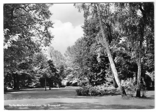 AK, Berlin Niederschönhausen, Partie im Brosepark, 1961