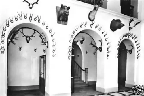 AK, Binz Rügen, OT Granitz, Jagdschloß, Eingangshalle