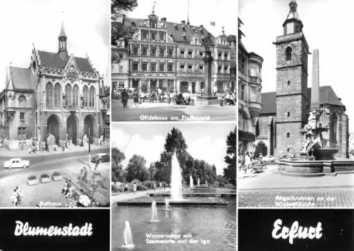 AK, Erfurt, vier Abb., 1973