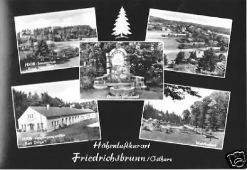 AK, Friedrichsbrunn Harz, fünf Abb., gestaltet, 1968
