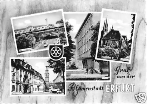 AK, Erfurt, vier Abb., Wappen, gestaltet, 1961