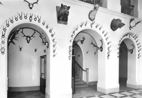 AK, Ostseebad Binz Rügen, OT Granitz, Jagdschloß, Eingangshalle, 1981