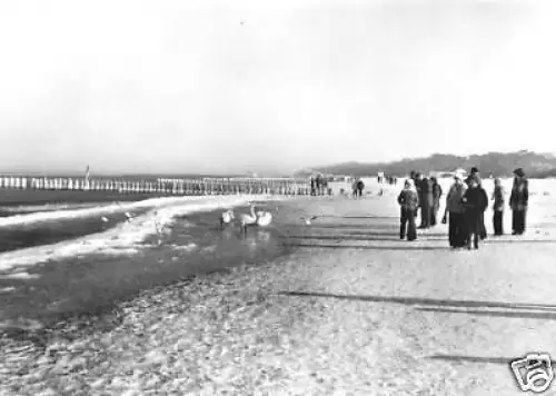 AK, Ostseebad Kühlungsborn, winterl. Stand, 1980